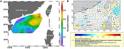 Diversity, Composition, and Activities of Nano- and Pico-Eukaryotes in the Northern South China Sea With Influences of Kuroshio Intrusion